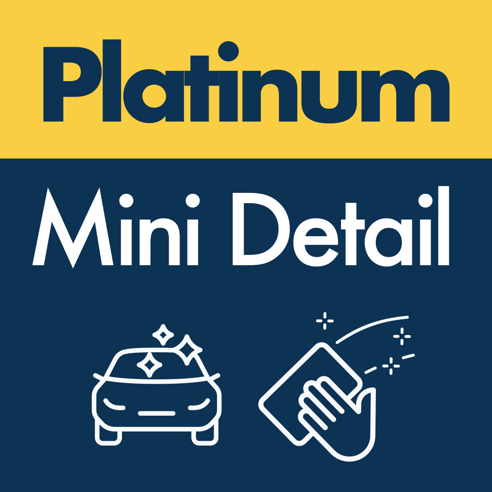 Platinum Mini Detail