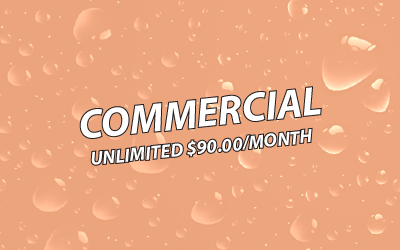 Commercial Full Service Wash
