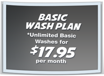 Basic Unlimited Plan
